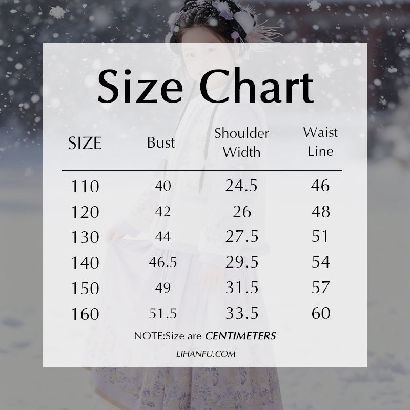 Children's Traditional Style Clothing Ziyan 紫烟 Chinese Velvet Hanfu Suit