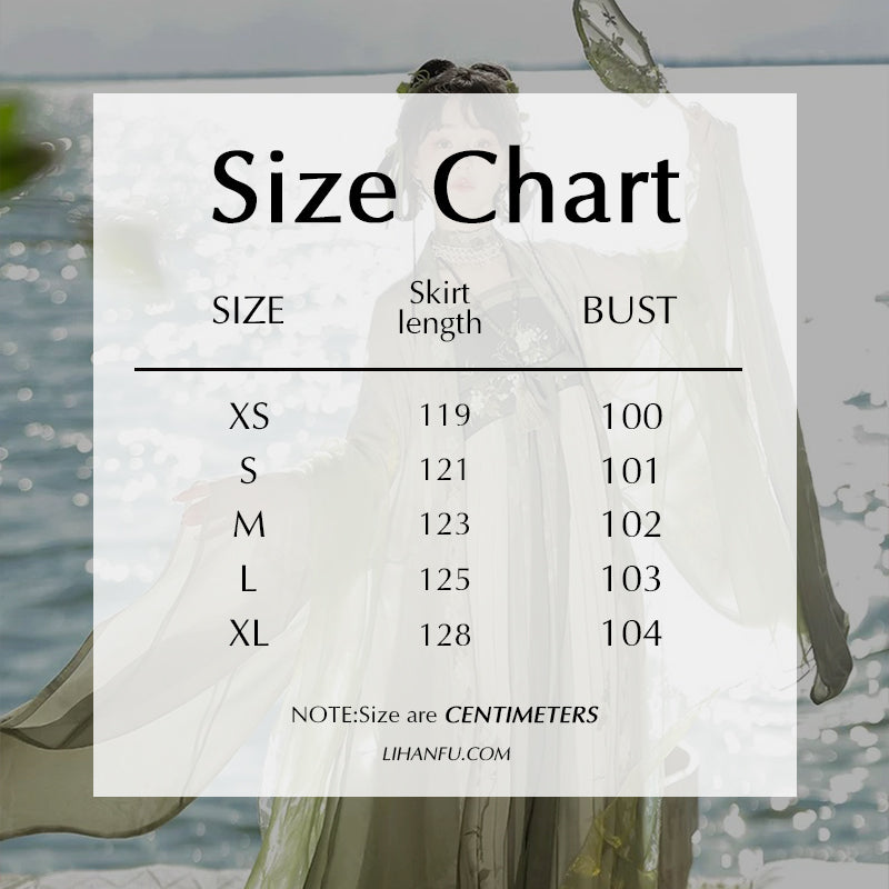 TANG Dynasty Hanfu Women's Angran 盎然 Skirt Spring Summer Autumn
