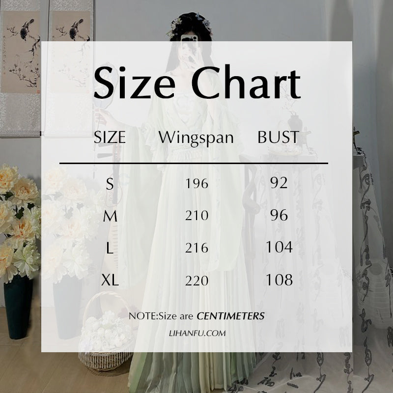 WEIJIN Dynasty Hanfu Women's Qingyi 清逸 Skirt Spring Summer Autumn