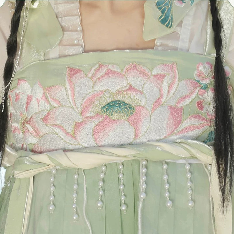 TANG Dynasty Dress Women's Qinghe 清菏 Ruqun Hanfu Spring Summer Autumn