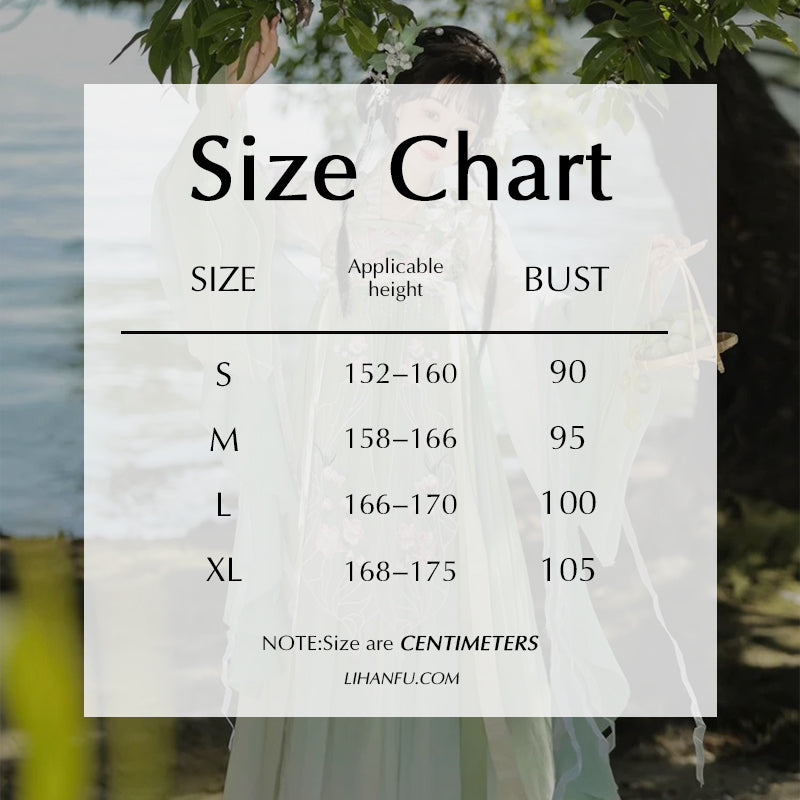 TANG Dynasty Dress Women's Qinghe 清菏 Ruqun Hanfu Spring Summer Autumn