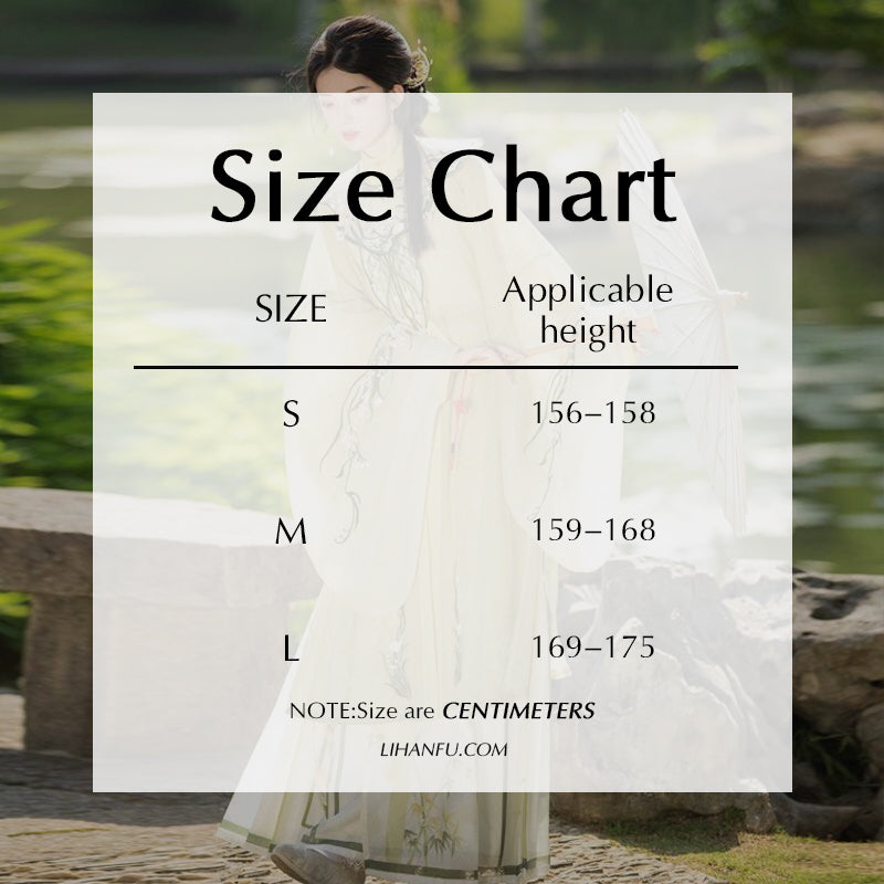 MING Dynasty Dress Women's Shuiyexiang 水夜香 Hanfu Spring Summer Autumn