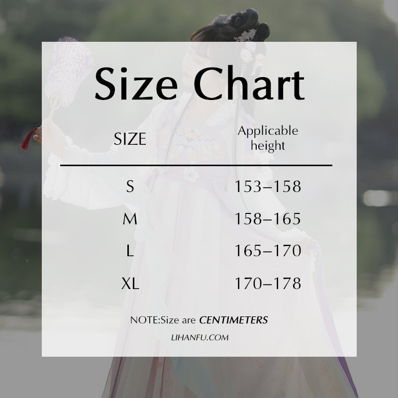 TANG Dynasty Dress Women's Xizuiyan 惜醉颜 Ruqun Spring Summer Autumn