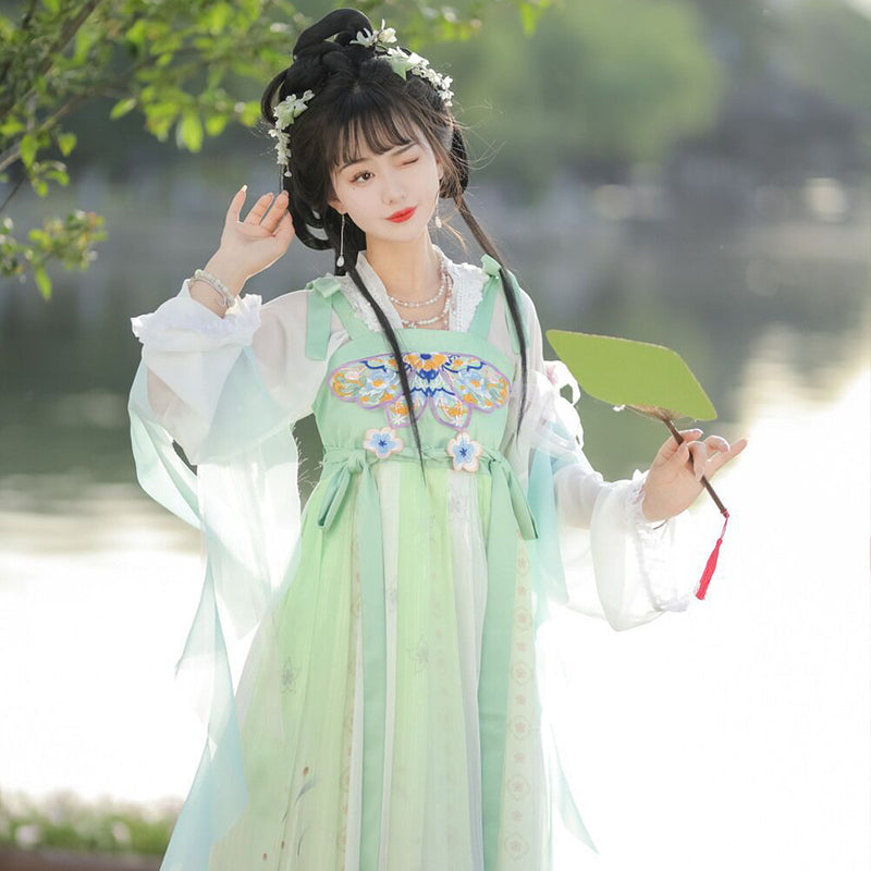 TANG Dynasty Dress Women's Xizuiyan 惜醉颜 Ruqun Spring Summer Autumn