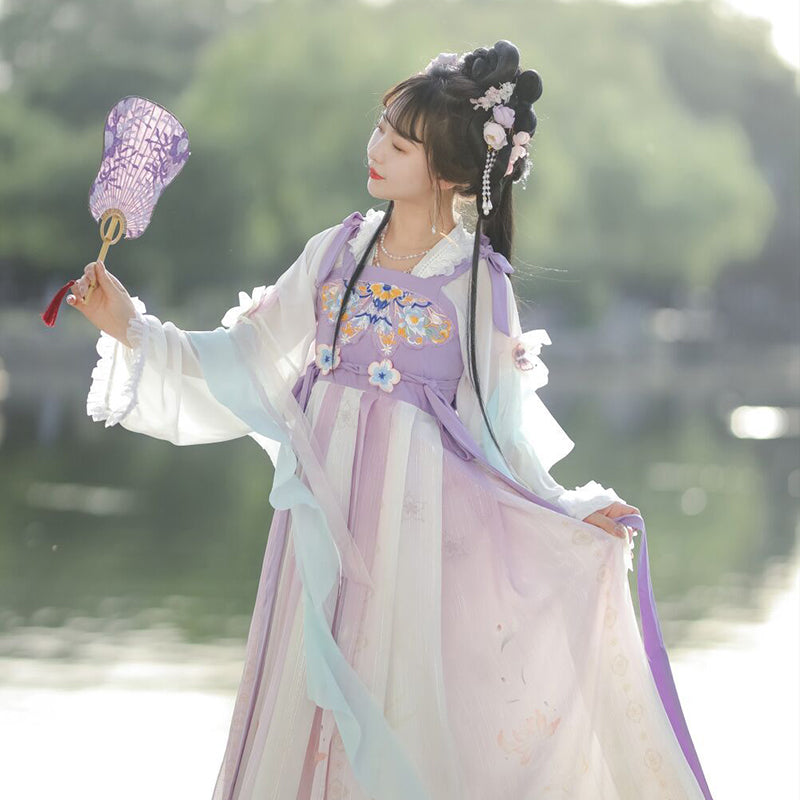 TANG Dynasty Dress Women's Xizuiyan 惜醉颜 Ruqun Spring Summer Autumn