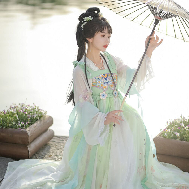 TANG Dynasty Dress Women's Xizuiyan 惜醉颜 Ruqun Spring Summer Autumn