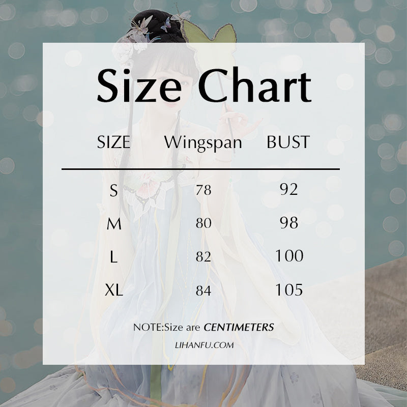 TANG Dynasty Dress Butterfly 蝴蝶 Women's Chest High Ruqun Spring Summer Autumn