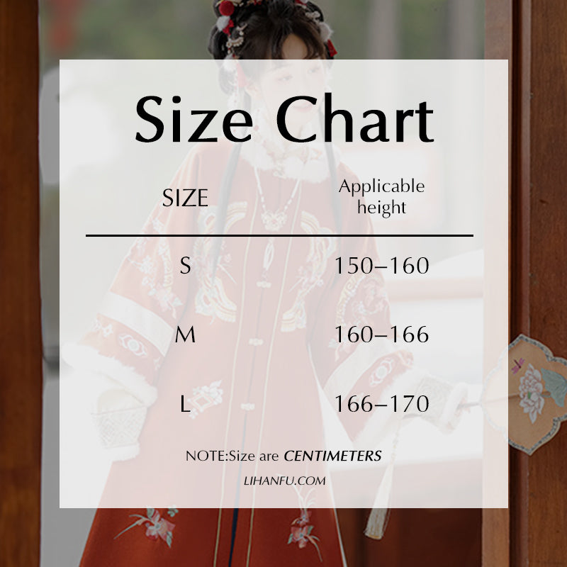 Ming Dynasty Dress Women's Mamian Skirt Yijin 衣锦 Traditional Chinese Lunar New Year Clothes Hanfu Winter