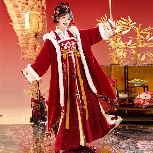 Tang Dynasty Lunar Chinese New Year Clothes Cai 财 Women's Hanfu Traditional Dress Winter