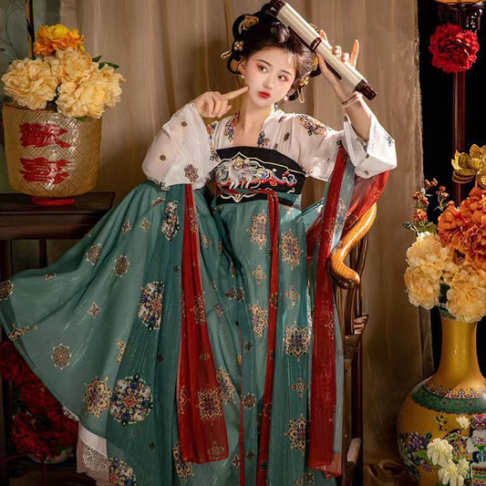 TANG Dynasty Dress Women's Changan City 长安城 Ruqun Hanfu Clothing Spring Summer Autumn