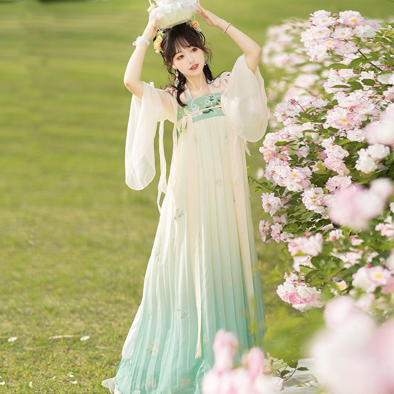TANG Dynasty Dress Women's April 四月 Ruqun Spring Summer Autumn