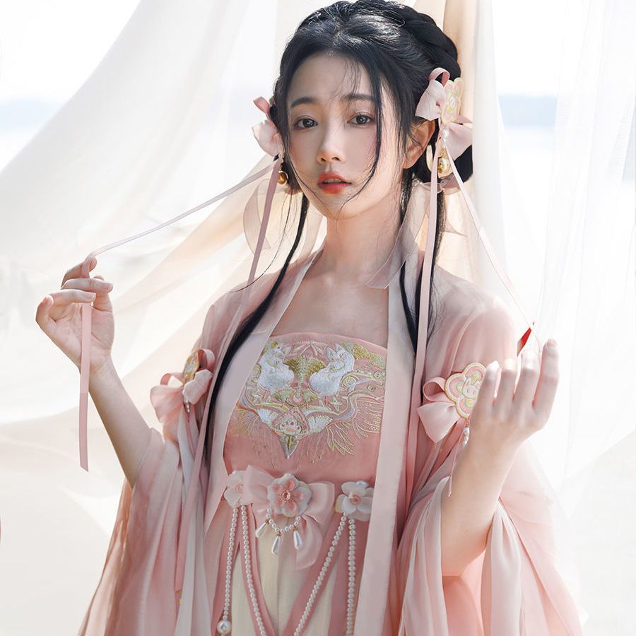 TANG Dynasty Hanfu Women's Xiaochunfeng 笑春风 Skirt Spring Summer Autumn
