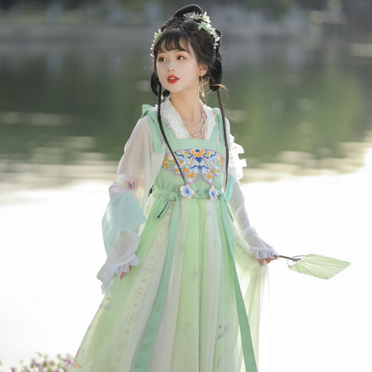 TANG Dynasty Dress Women's Xizuiyan 惜醉颜 Ruqun Hanfu Clothing Spring Summer Autumn