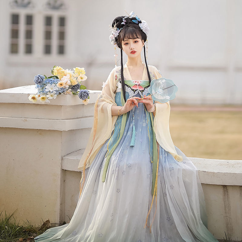 TANG Dynasty Dress Butterfly 蝴蝶 Women's Chest High Ruqun Spring Summer Autumn