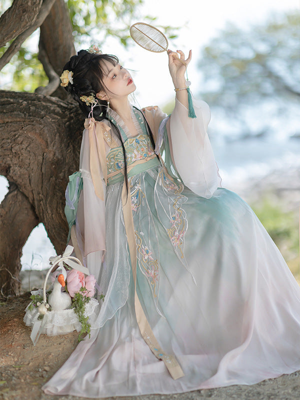 TANG Dynasty Dress Women's Spring Grace in Misty Rain 春晚嫣雨 Ruqun Spring Summer Autumn