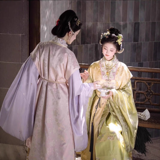 Ming Dynasty Clothing Qianjin 千金 Women's Chinese Traditional Thicken Velvet Hanfu Autumn Winter