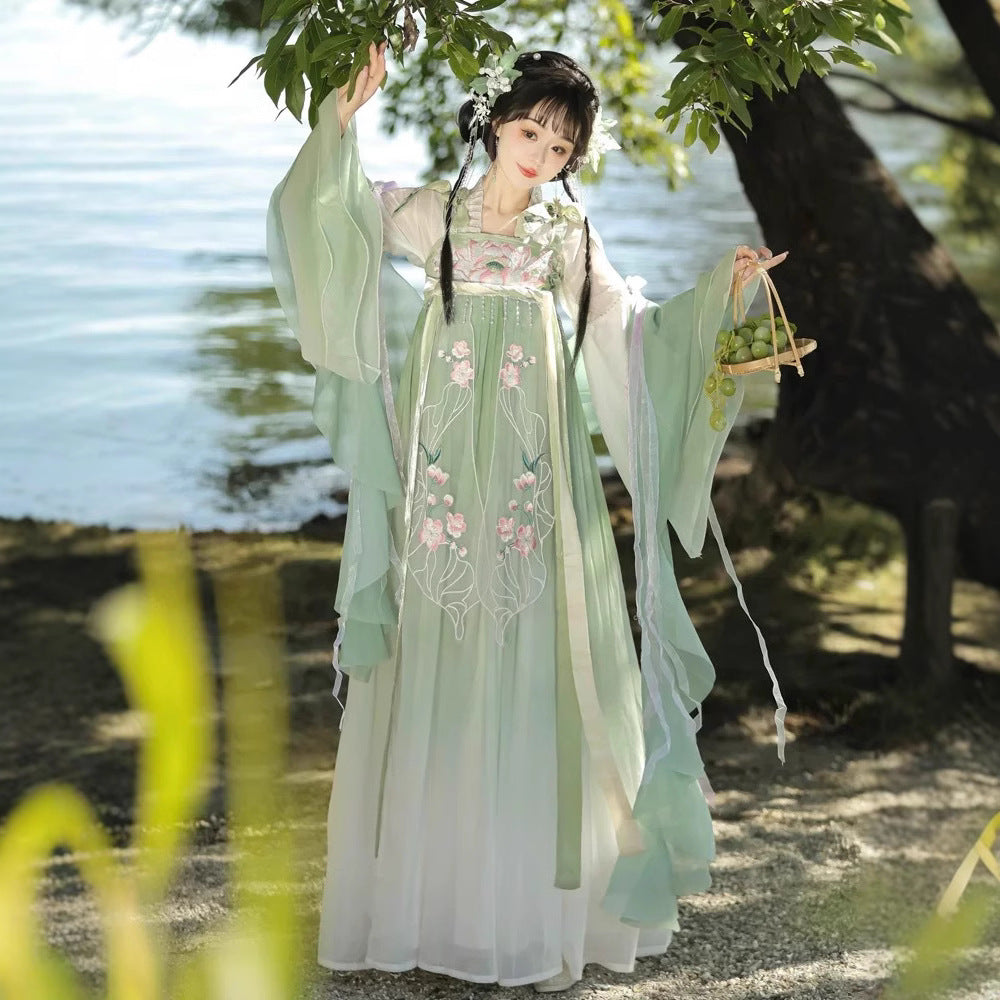 TANG Dynasty Dress Women's Qinghe 清菏 Ruqun Hanfu Spring Summer Autumn