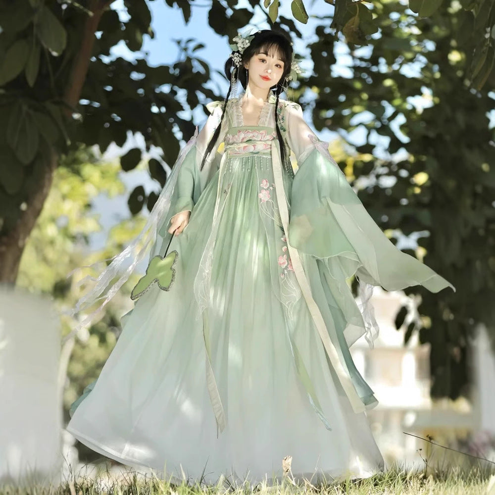 TANG Dynasty Dress Women's Qinghe 清菏 Ruqun Hanfu Spring Summer Autumn
