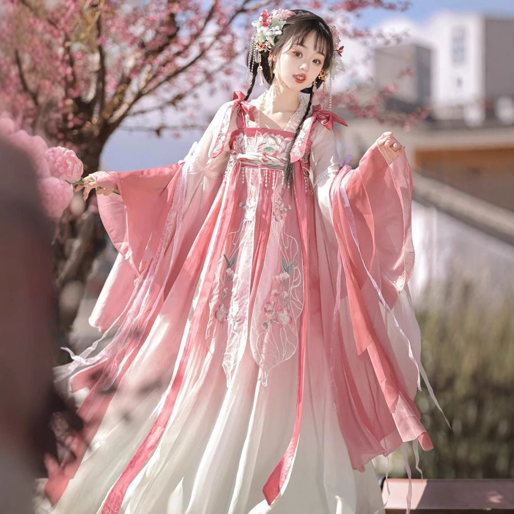 TANG Dynasty Dress Women's Qinghe 清菏 Ruqun Hanfu Spring Summer Autumn