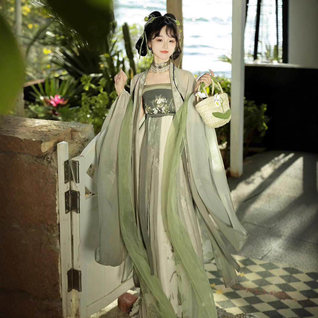 TANG Dynasty Hanfu Women's Angran 盎然 Skirt Spring Summer Autumn