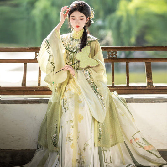 MING Dynasty Dress Women's Shuiyexiang 水夜香 Hanfu Clothing Spring Summer Autumn