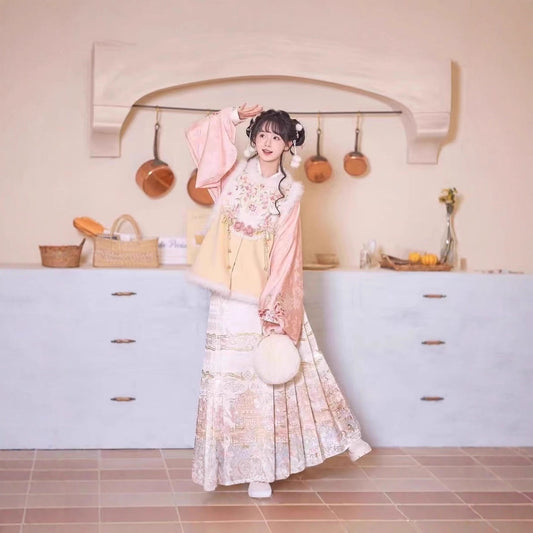 Ming Dynasty Clothing Qiao 俏 Women's Chinese Traditional Thicken Velvet Hanfu Autumn Winter