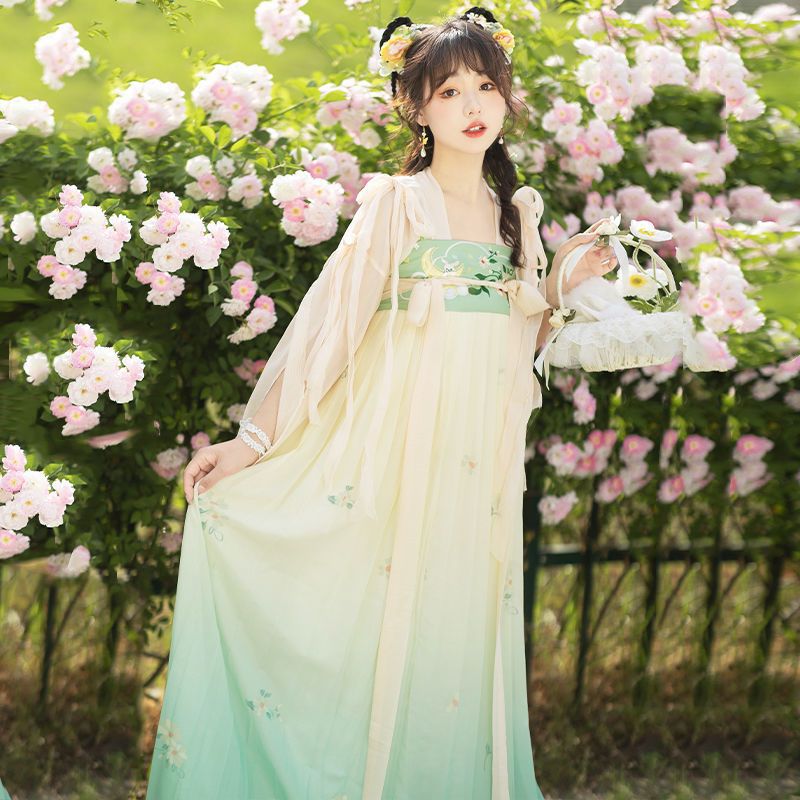 TANG Dynasty Dress Women's April 四月 Ruqun Spring Summer Autumn