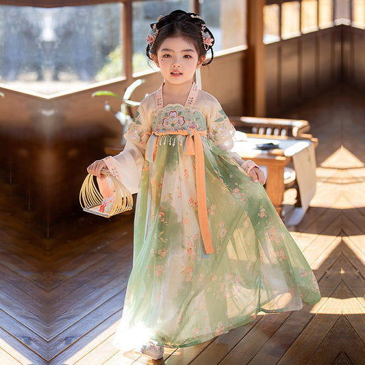 TANG Dynasty Children's Ying 樱 Ruqun Hanfu Clothing Spring Summer Autumn