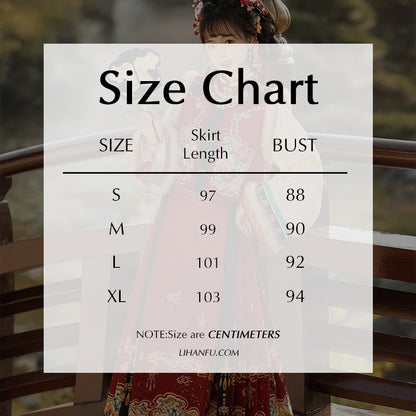 Ming Dynasty Dress Women's Mamian Skirt Luyu 鹿屿 Thicken Chinese Style Lunar New Year Clothing Winter