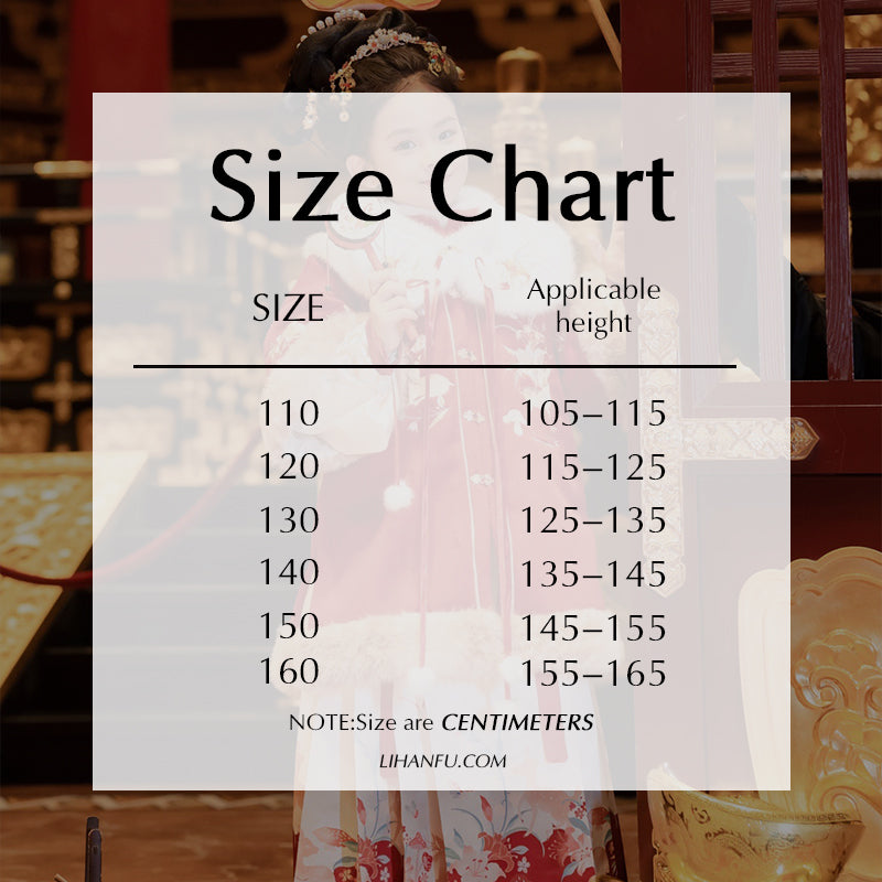 Ming Dynasty Girl's Mamian Skirt Yuanji 元吉 Children's Traditional Clothing Chinese Lunar New Year Velvet Hanfu Suit