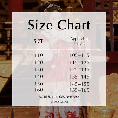 Ming Dynasty Girl's Mamian Skirt Yuanji 元吉 Children's Traditional Clothing Chinese Lunar New Year Velvet Hanfu Suit