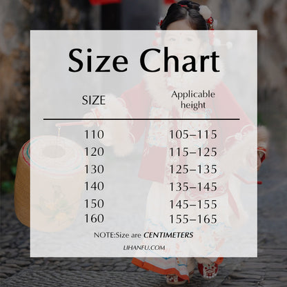 Ming Dynasty Girl's Mamian Skirt Jisui 吉岁 Children's Traditional Clothing Chinese Lunar New Year Velvet Hanfu Suit