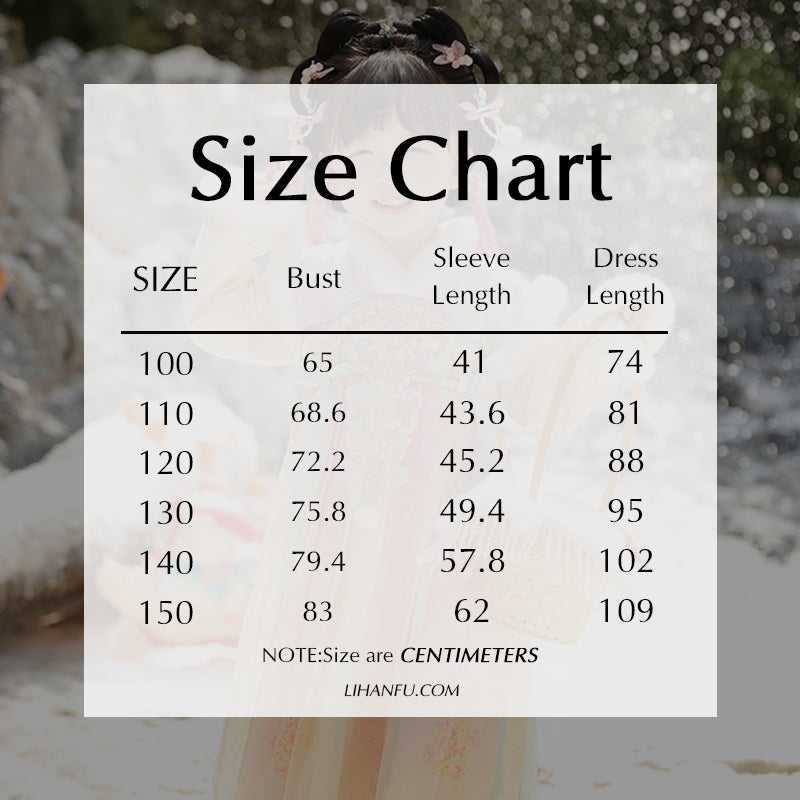 Tang Dynasty Girl Velvet Ruqun Huatianhaitang 花田海棠 Children's Chinese Traditional Clothing Hanfu Suit