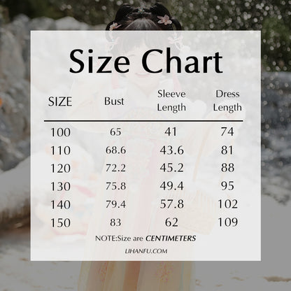 Tang Dynasty Girl Velvet Ruqun Huatianhaitang 花田海棠 Children's Chinese Traditional Clothing Hanfu Suit