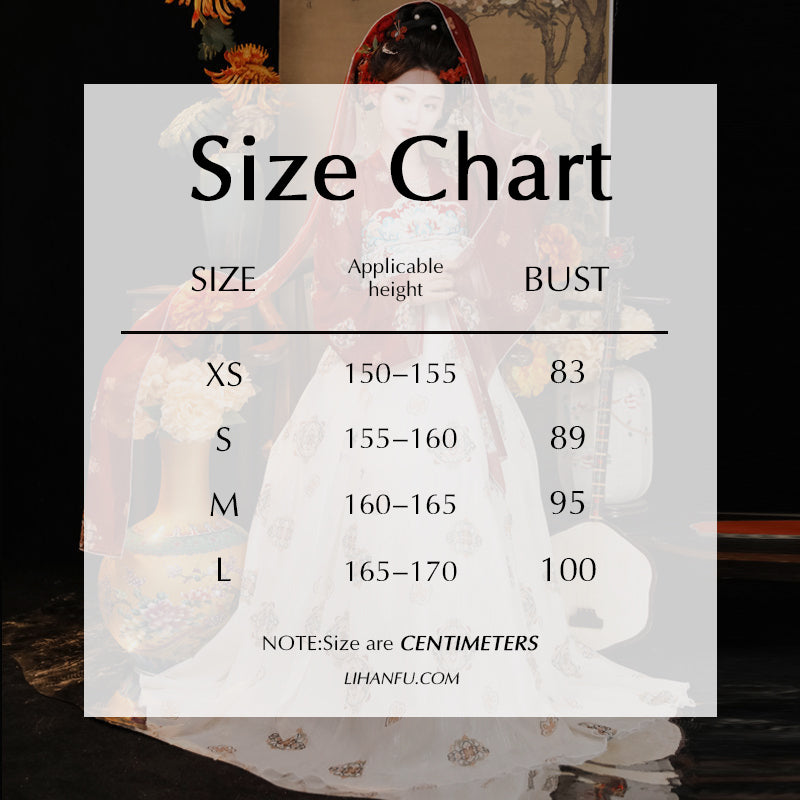 TANG Dynasty Dress Nichang 霓裳 Women's Chest High Ruqun  Hanfu Clothing Spring Summer Autumn