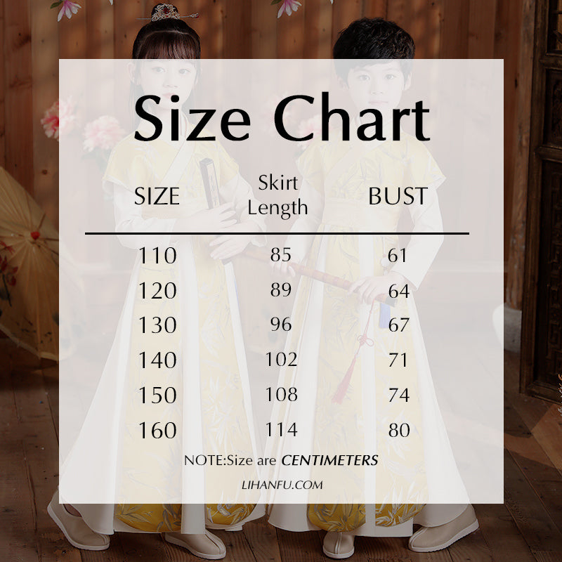 Children's Hanfu Huangzhu 黄竹 Chinese Traditional Scholar Clothing Suit Spring Autumn