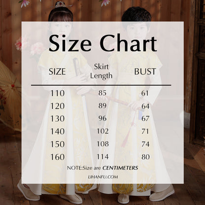 Children's Hanfu Huangzhu 黄竹 Chinese Traditional Scholar Clothing Suit Spring Autumn