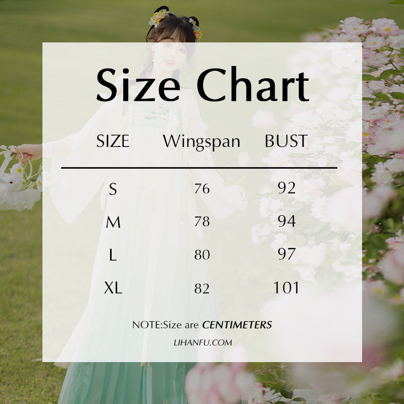 TANG Dynasty Dress Women's April 四月 Ruqun  Spring Summer Autumn