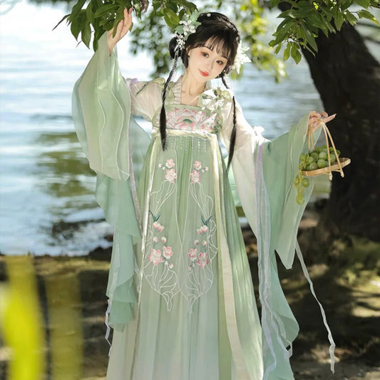TANG Dynasty Dress Women's Qinghe 清菏 Ruqun Hanfu  Spring Summer Autumn