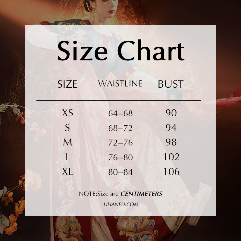 TANG Dynasty Skirt Women's Jianan 迦南 Hanfu Clothing  Spring Summer Autumn