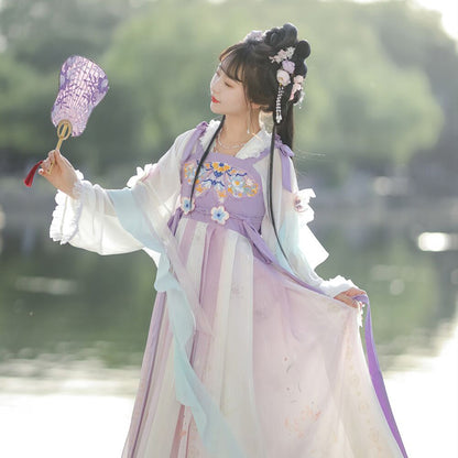 TANG Dynasty Dress Women's Xizuiyan 惜醉颜 Ruqun  Spring Summer Autumn