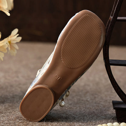 Women's Traditional Shoes Shihua 诗画 Chinese Increase Spring Summer Autumn