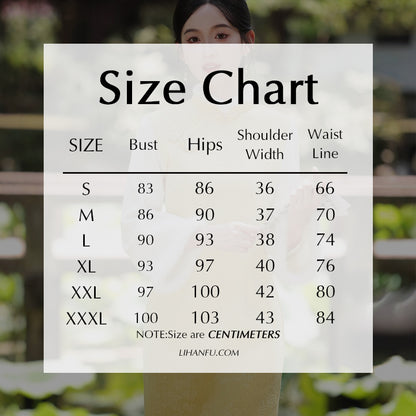 Women's Qipao Dongyun 冬韵 Asian Thicken Dress Chinese Modern Hanfu Clothing Velvet Cheongsam Winter