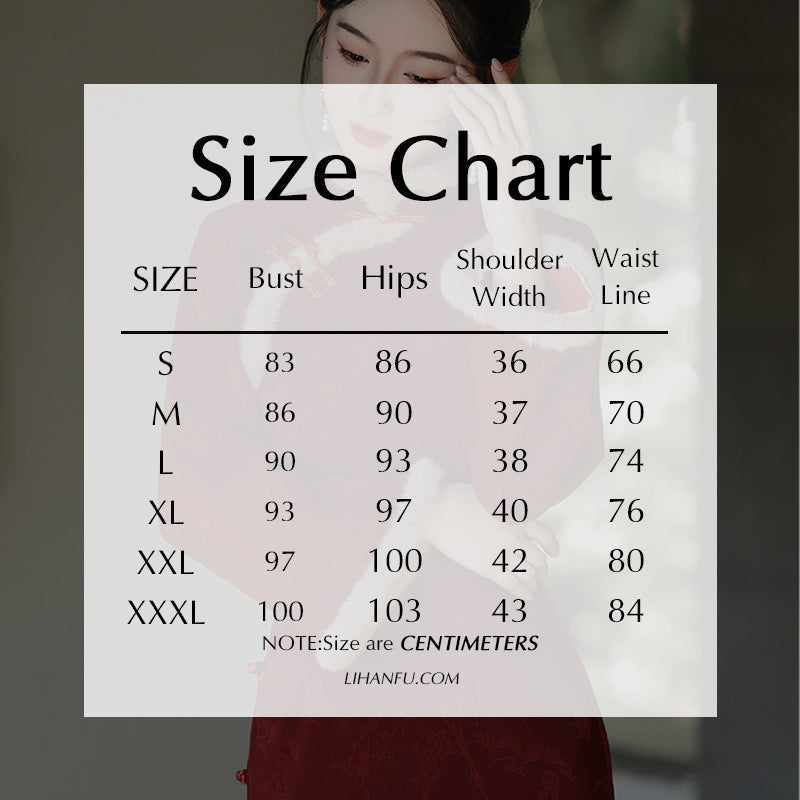 Women's Qipao Cijiu 辞旧 Asian Thicken Dress Chinese Modern Hanfu Clothing Velvet Cheongsam Winter