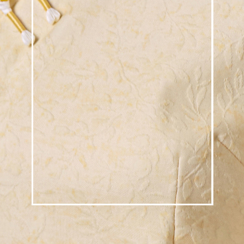 Women's Qipao Huaqi 花期 Asian Thicken Dress Chinese Modern Hanfu Clothing Velvet Cheongsam Winter