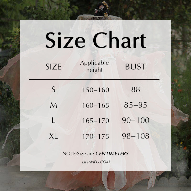 TANG Dynasty Dress Women's Liuxiangyingxiu 榴香盈袖 Ruqun  Hanfu Clothing Spring Summer Autumn