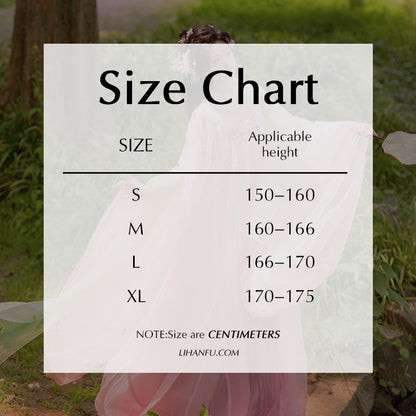 TANG Dynasty Clothing Dress Women's Huashen 花神 Traditional Hanfu Spring Summer Autumn