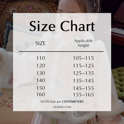 Ming Dynasty Girl's Mamian Skirt Fenfeng 粉蜂 Children's Chinese Velvet Traditional Clothing Hanfu Suit