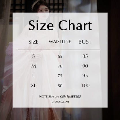 SONG Dynasty Dress Women's Fenjiaojiao 粉娇娇  Chinese Traditional Hanfu Clothing Spring Summer Autumn
