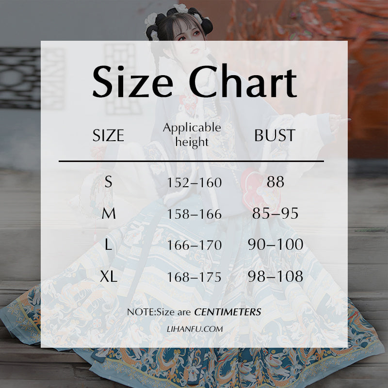 Ming Dynasty Dress Women's Mamian Skirt Rabbit 兔 Chinese Style Lunar New Year Clothes Winter